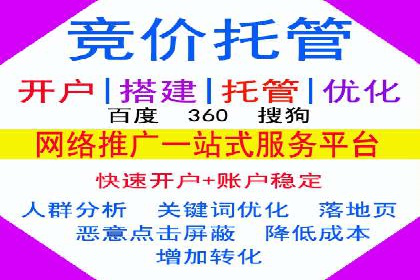 百度推广效果案例解析